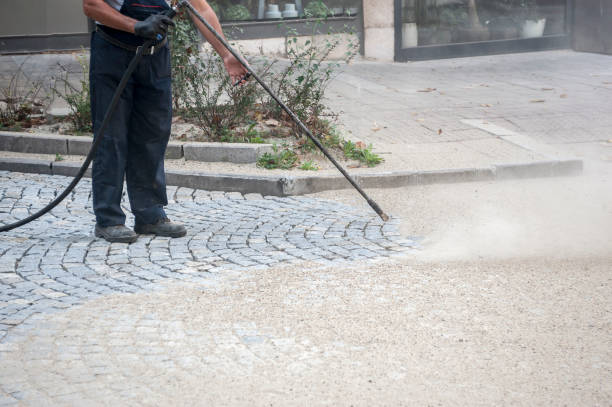 Best Roof Washing  in Sonoma, CA